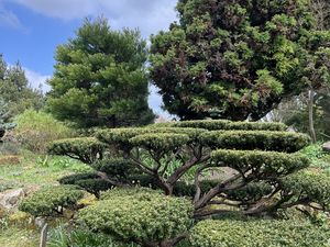 L'École Du Breuil - Paris 12ème.