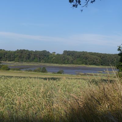 GR 34 - J 37, de Sainte Avoye à Baden.