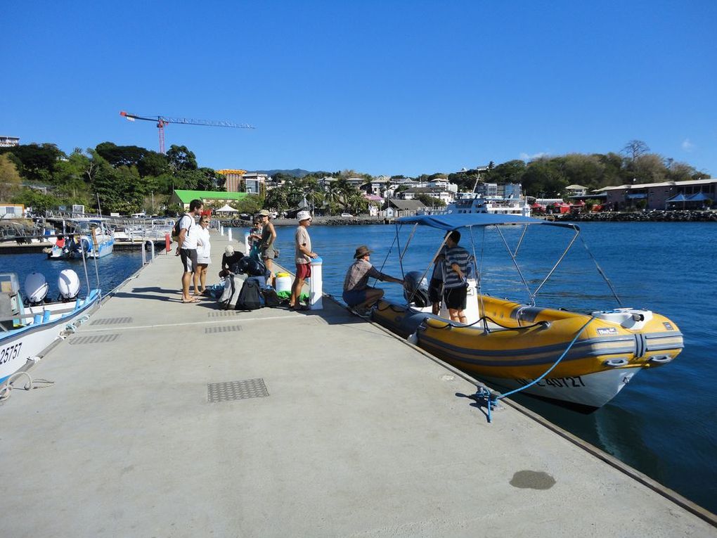 Bivouac entre copains et copines pour fêter notre départ de Mayotte