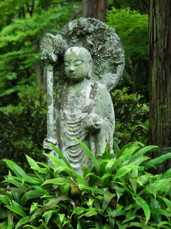 Album - Jizo