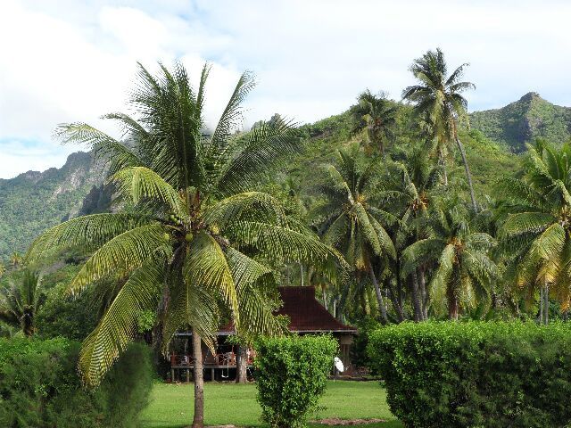 Album - MOOREA-1