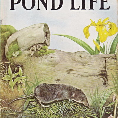 Pond life