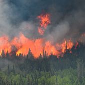 Incendies de forêt | Le Canada connaît sa pire saison d'incendies de forêt du XXIe siècle