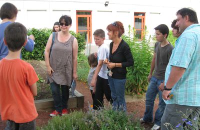 Mardi 26 juin après-midi au jardin