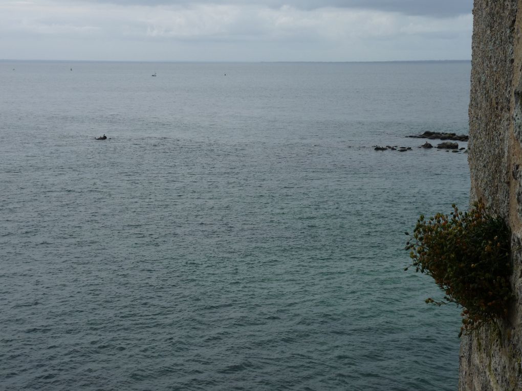 Week-end dans la Manche pour découvrir la pointe du Cotentin.