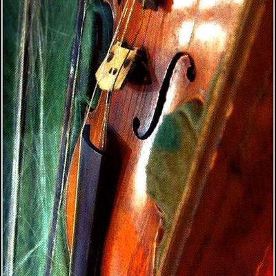 Violon et archet de Rouget de Lisle - Lons Le Saunier - Jura