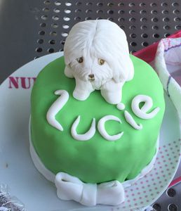Mini gâteau chien 