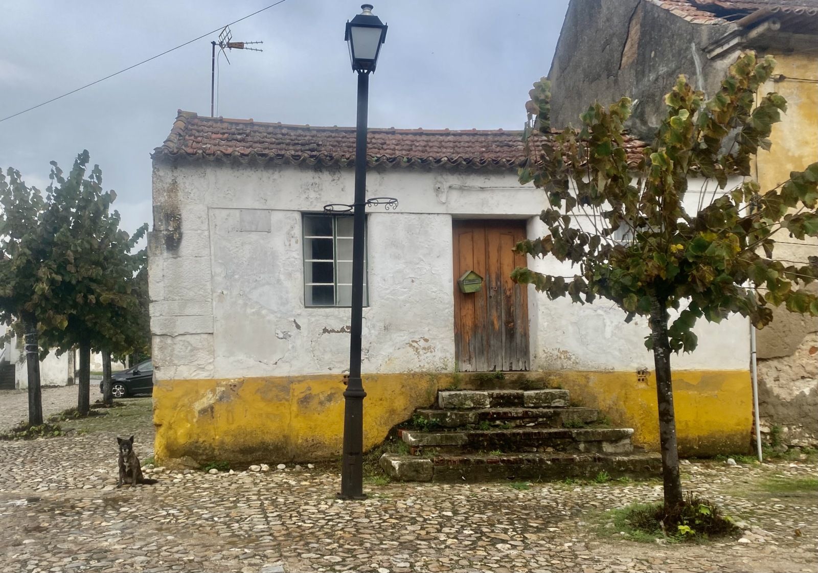 1. En me perdant à l'est de Coimbra, je tombe sur ce chien qui n'aboyait pas, il aurait mérité que je l'adopte