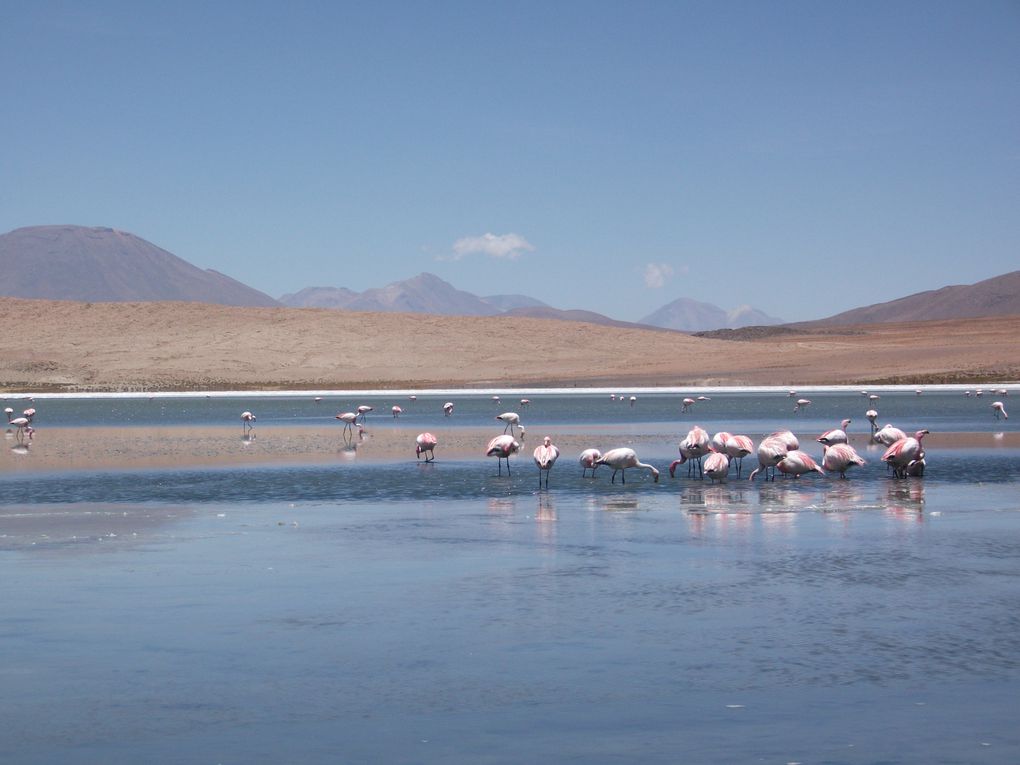 Album - Bolivie