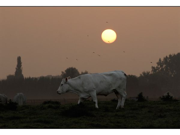 Photos du Jour 2014