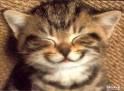 Le sourire du dimanche