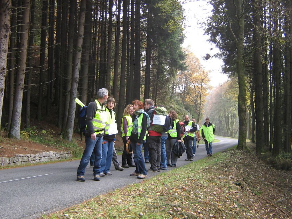 Album - marche-sur-le-rectorat