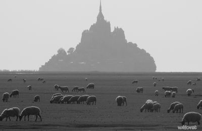 Mont Saint-Michel