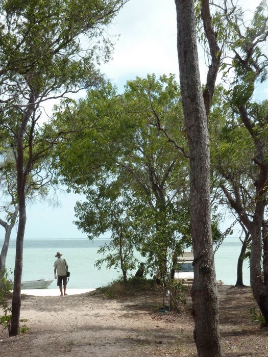 Remonte au Cape York depuis Cairns.
plage, 4x4 et Gunshot au programme!