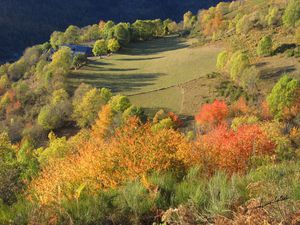 Photos expo _ Automne