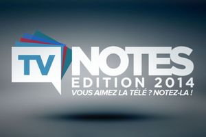 Résultats complets des TV Notes 2014 : TF1, M6 et D8 sont les grandes gagnantes.