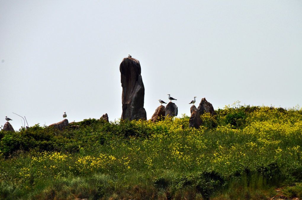 Album - Golfe-du-Morbihan