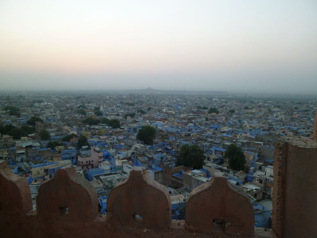 Album - Jodhpur, la Ville bleue