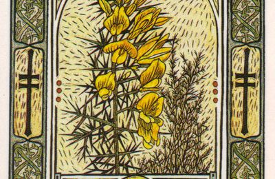 Tarot celte des Arbres : ohn ou l'ajonc