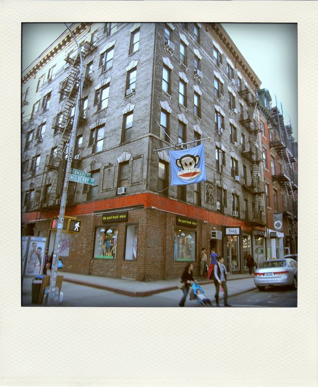 Album - NEW-YORK-POLA