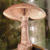 Le musée du champignon de Saumur