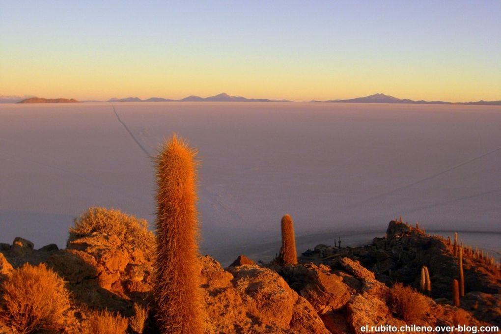 Levé de soleil depuis la Isla de Incahuasi. Traversé d'une des merveilles naturelles du monde. Le plus grand désert de sel du monde. Du blanc à perte de vue et un ciel bleu extraordinaire.