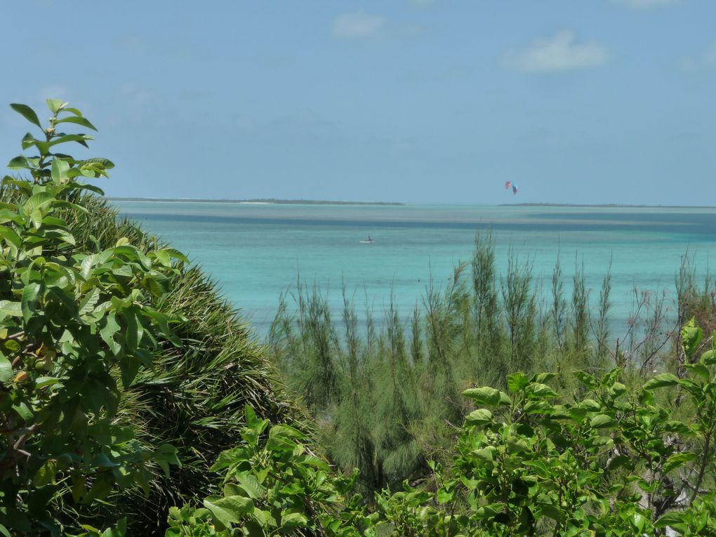 Album - Ile Rodrigues 2012