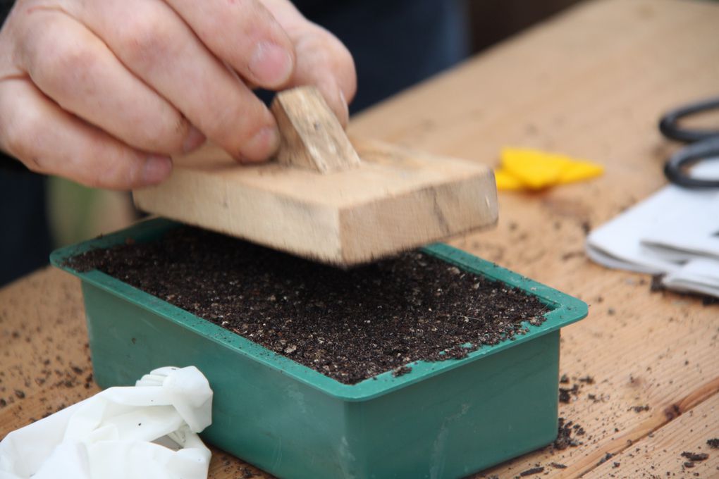 Comment semer vos graines de potager en avril-mai ?