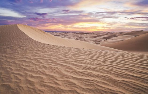 Images du jour : Beauté du désert