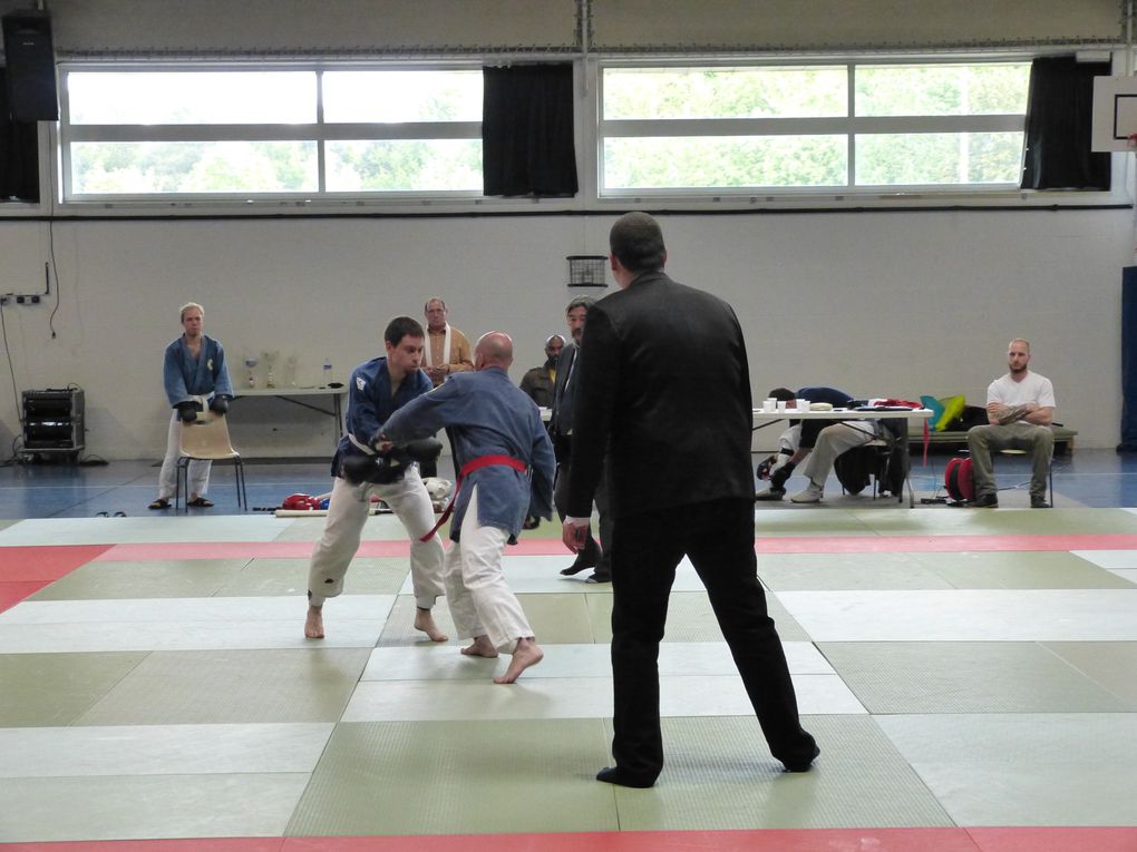 1ere partie des photos de la compétition de Nihon Budo du 10 mai 2015 au gymnase des droits de l'Homme à Guyancourt.