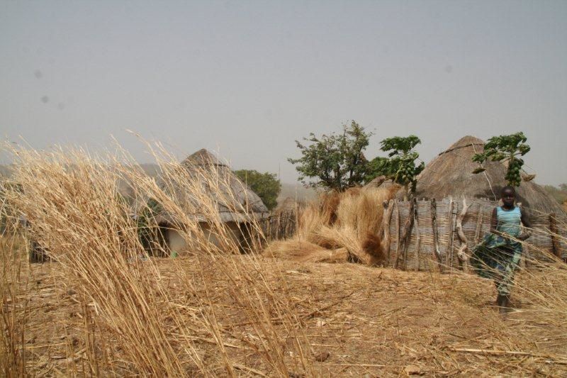 Album - PAYS-BASSARI-Senegal