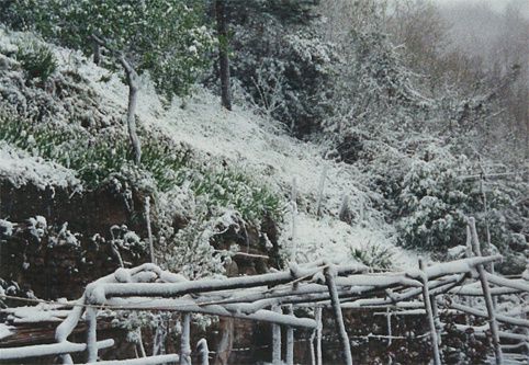 Album - Pontito-sous-la-neige