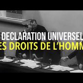 LA DECLARATION UNIVERSELLE DES DROITS DE L'HOMME - La Grande Explication