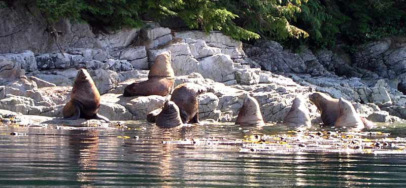 Quelques photos de l'ouest canadien