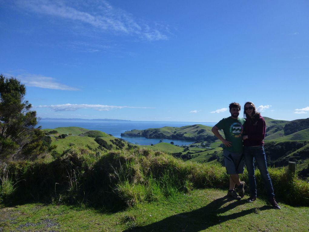 Coromandel Peninsula