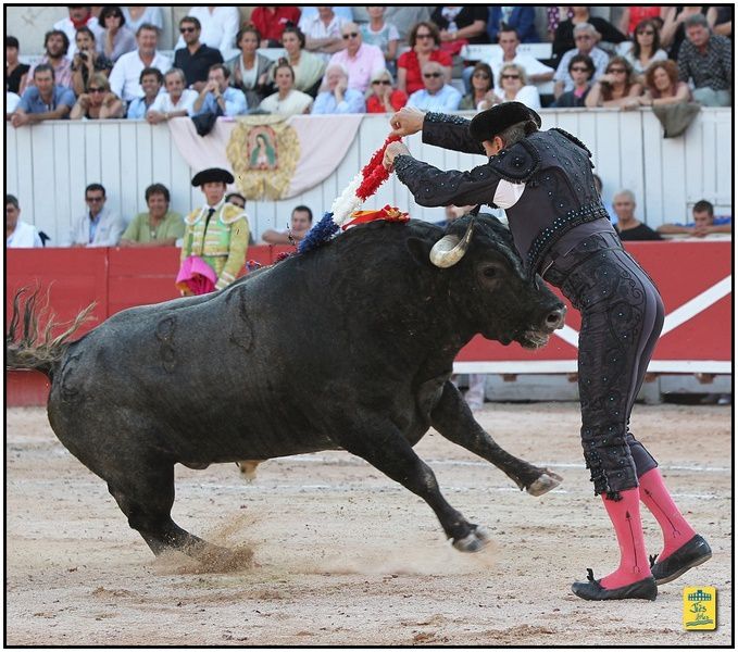 Arènes d'Arles-Feria du Riz Dimanche 8 septembre 2013 - Corrida de la Ganaderia La Quinta pour El Cid, Luis Bolivar et Diego Silveti - Cavalerie Alain Bonijol - Musique Chicuelo II