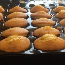 Les Madeleines 