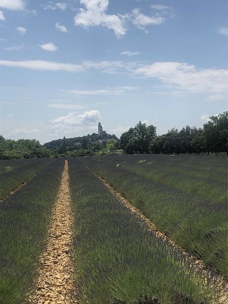 Grignan 26 le 14-06-2023 Animatrice Raymonde B.