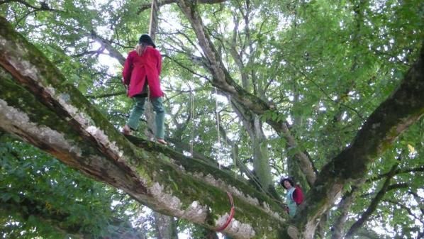 Installation de la Caravan'arbres dans le parc du château de la Sauldraie près de Lambale en Bretagne. Une semaine sous le charme...