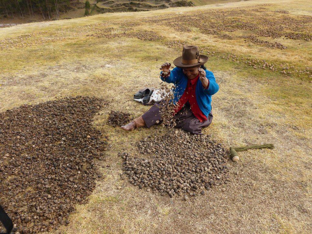 Sacrée Vallée!