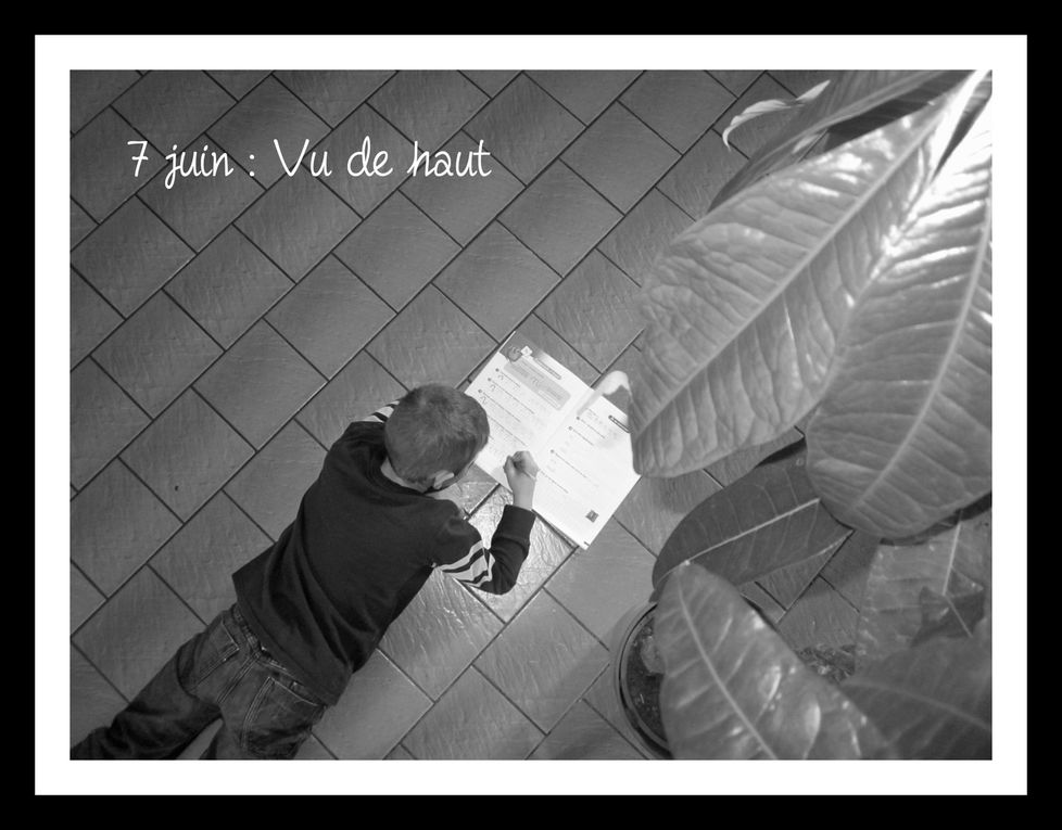 Album - 30-photos-en-juin-2011