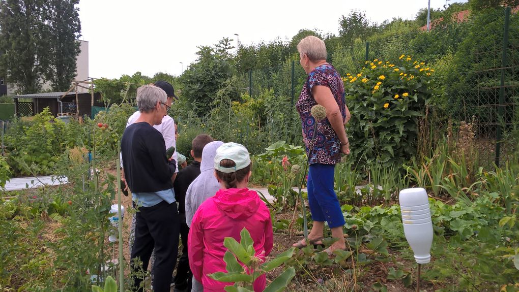 Légumes et jardins au programme de cette semaine...