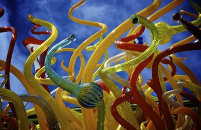 Chihuly, un génie!