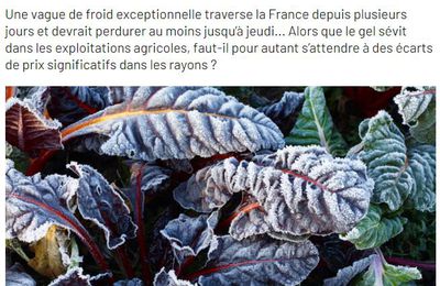 Dans les médias (436) : Capital : Regel en France : les prix des fruits et légumes vont-ils flamber dans les prochaines semaines ?