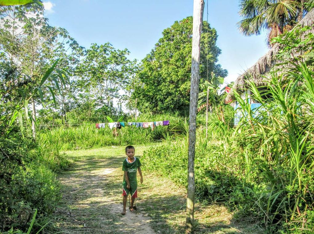 Amazonie péruvienne: Iquitos, Muyuna et San Juan de Yanayacu. 31 août/ 5 septembre 2016