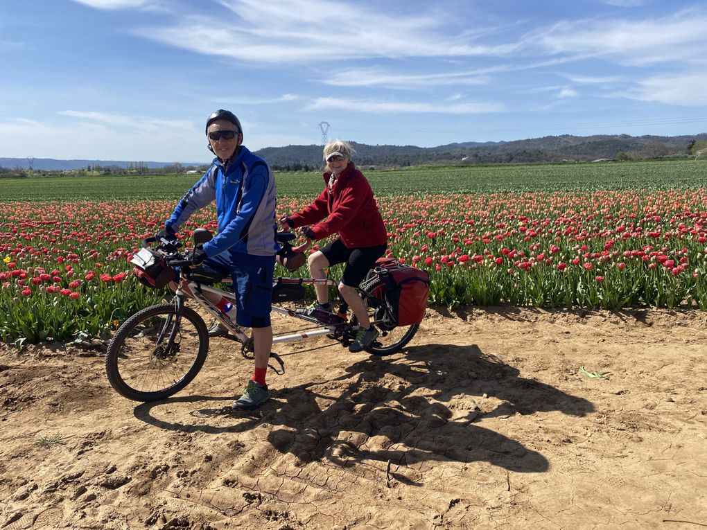 Petite escapade en tandem au pays des tulipes