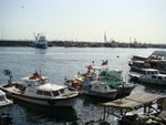 Le marché aus poissons de Kumkapi - Istanbul