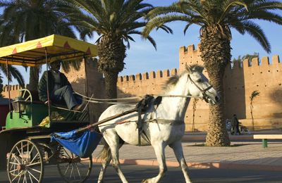 La ville de Taroudant (La petite marrakech)
