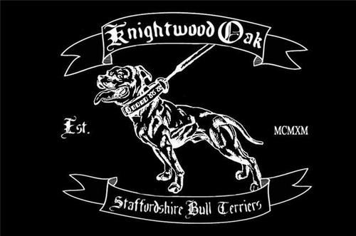 Album - Olde-Bulldogge-pubs-and-logos