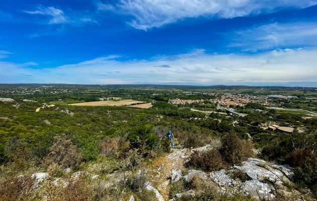 Pont du Gard